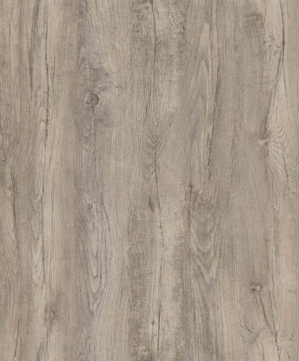 Norway oak (PG 203)