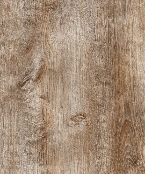 Baltic oak (AP 210)