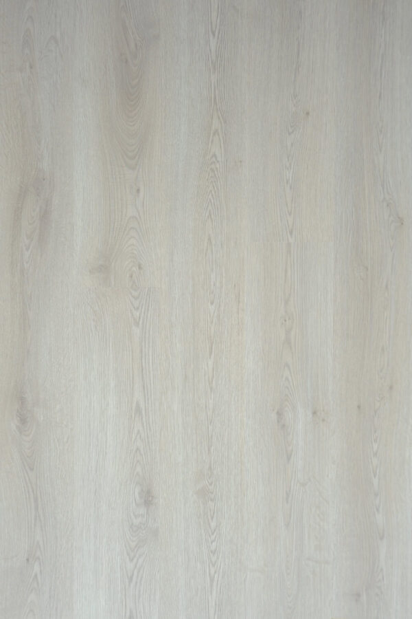 White oak (LG 152)