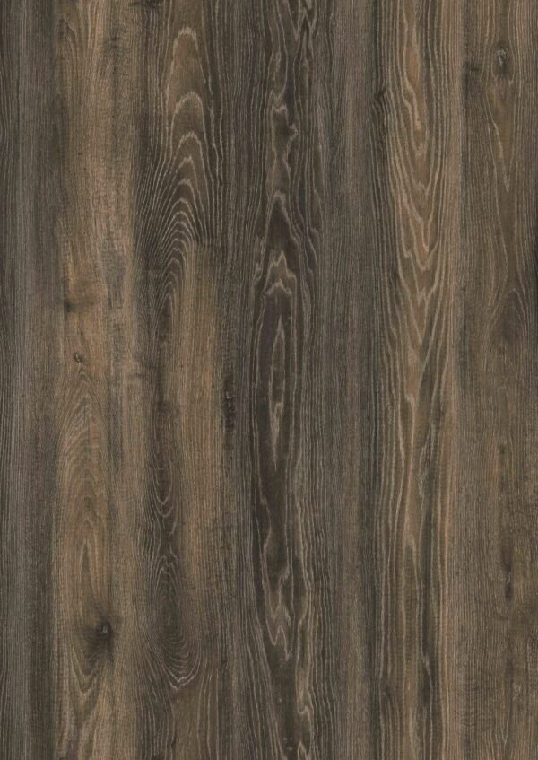 Canyon black oak (FN 258)